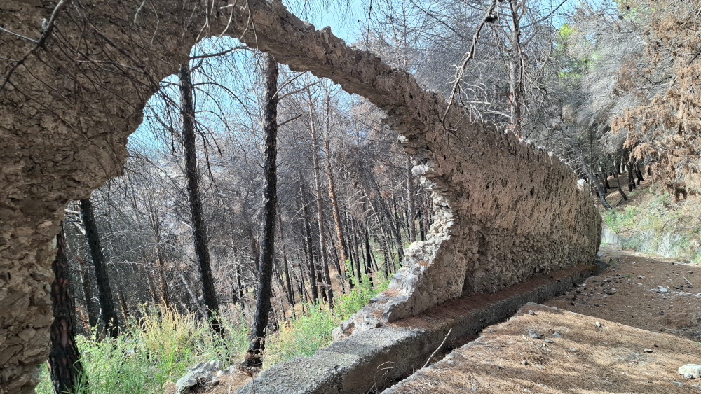 Salerno la salita al Castello Arechi dalla pinetina