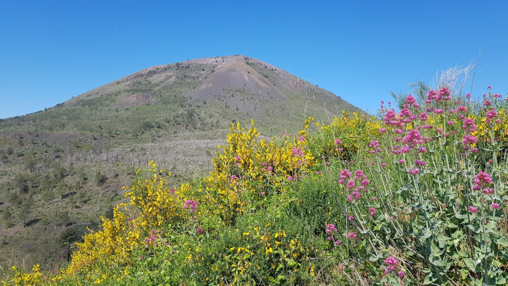 Cono del Vesuvio