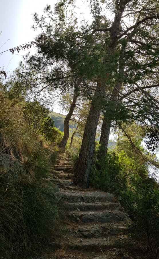 Sentiero per Tordigliano