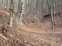 Faito in autunno